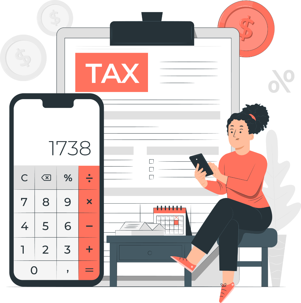 Income Tax Return (ITR) Software Solutions